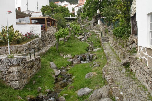 Foto 60 da atividade Galeria de Fotos