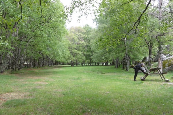 Foto 53 da atividade Galeria de Fotos