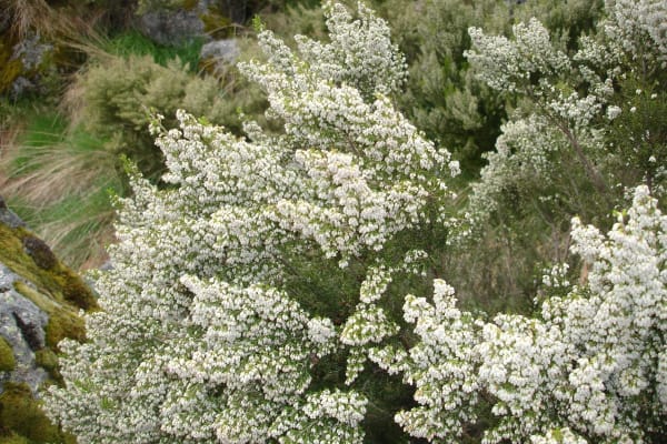 Foto 44 da atividade Galeria de Fotos