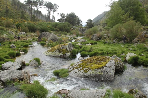 Foto 45 da atividade Galeria de Fotos