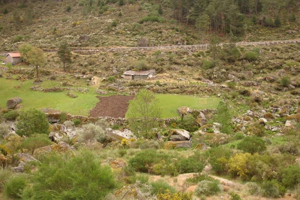 Foto 40 da atividade Galeria de Fotos