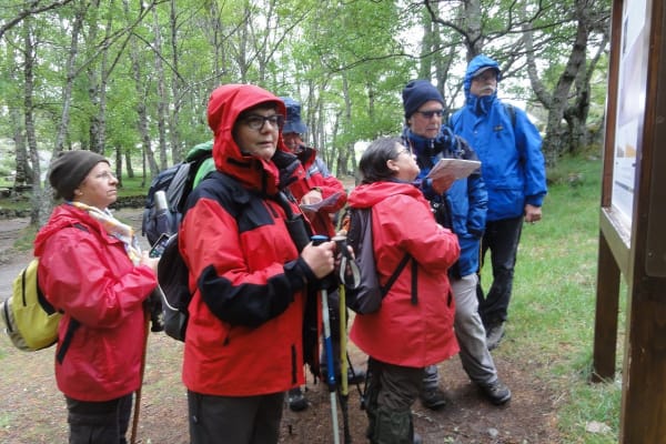 Foto 33 da atividade Galeria de Fotos