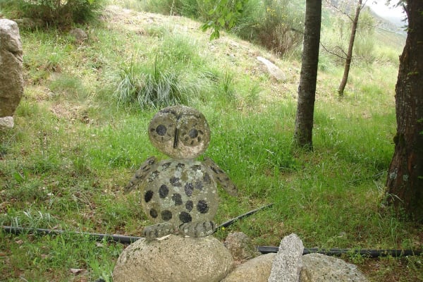 Foto 21 da atividade Galeria de Fotos