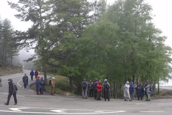 Foto 14 da atividade Galeria de Fotos