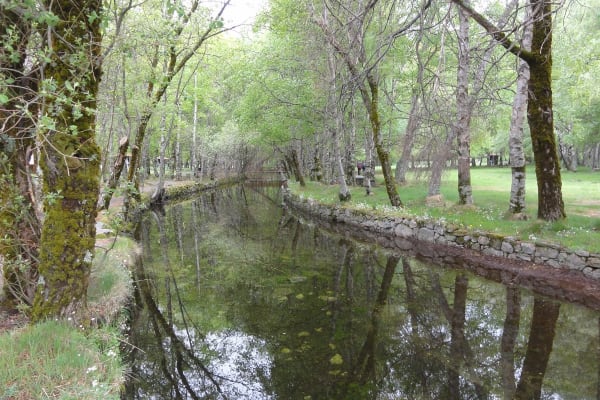 Foto 13 da atividade Galeria de Fotos