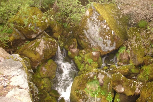 Foto 10 da atividade Galeria de Fotos