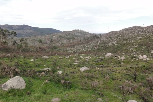 Foto 102 da atividade Galeria de Fotos