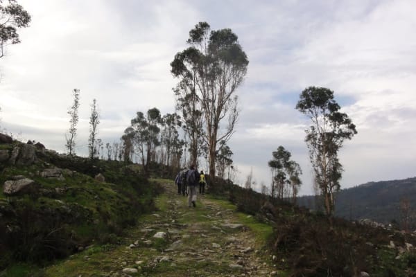 Foto 95 da atividade Galeria de Fotos