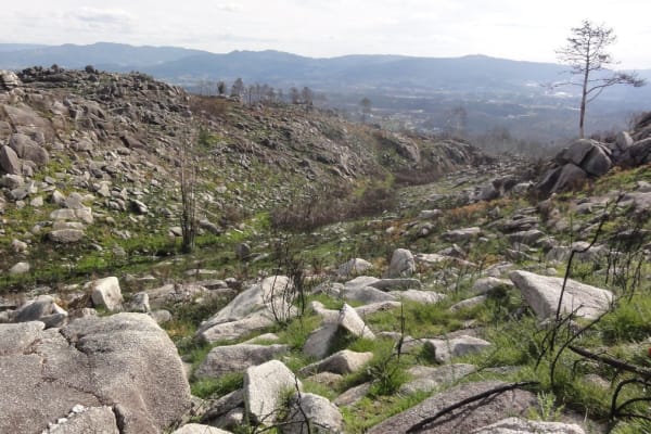 Foto 75 da atividade Galeria de Fotos