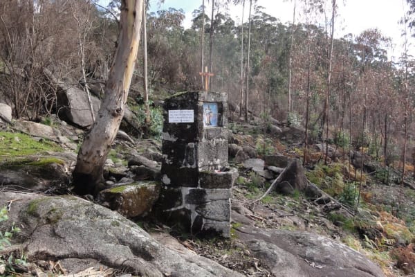 Foto 21 da atividade Galeria de Fotos