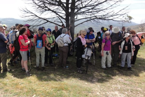 Foto 44 da atividade Galeria de Fotos