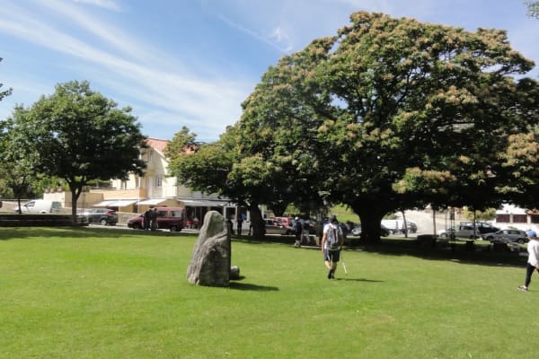 Foto 45 da atividade Galeria de Fotos