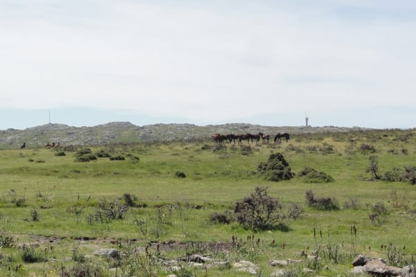 Foto 10 da atividade Galeria de Fotos