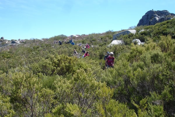 Foto 22 da atividade Galeria de Fotos