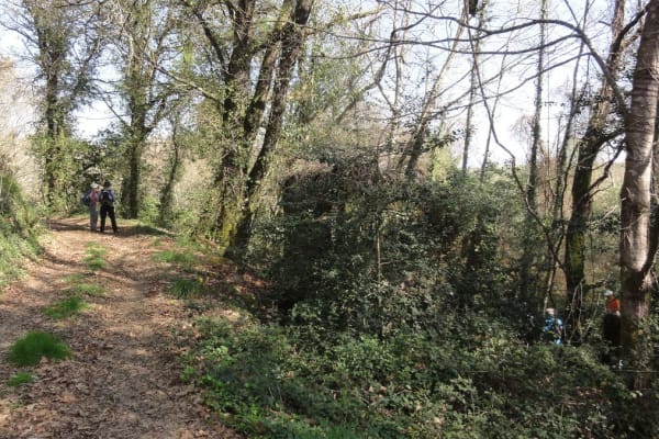 Foto 83 da atividade Galeria de Fotos