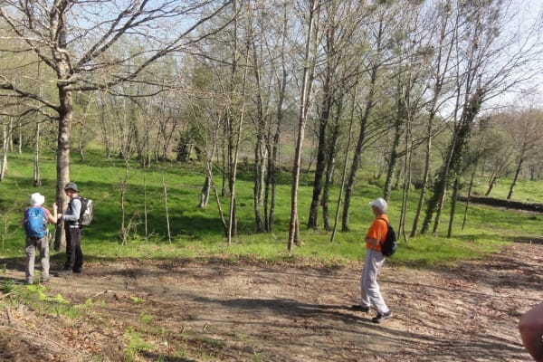 Foto 80 da atividade Galeria de Fotos