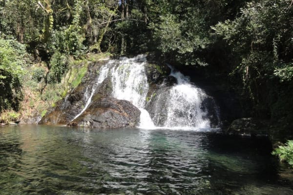 Foto 64 da atividade Galeria de Fotos