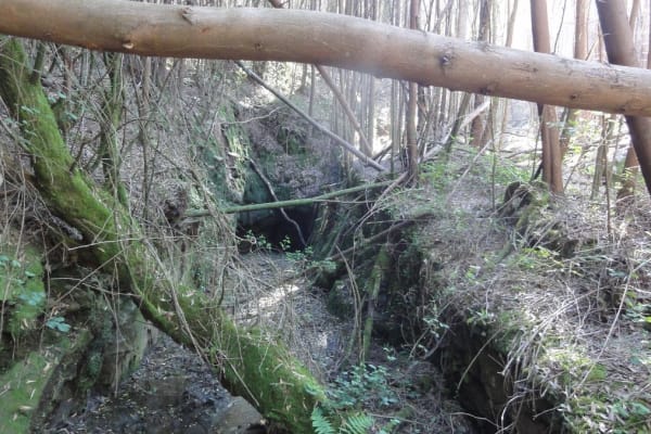 Foto 63 da atividade Galeria de Fotos