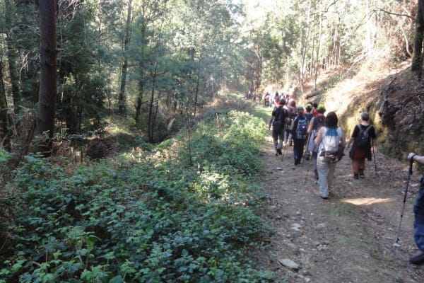 Foto 57 da atividade Galeria de Fotos