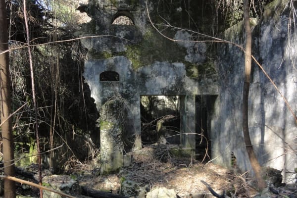 Foto 58 da atividade Galeria de Fotos