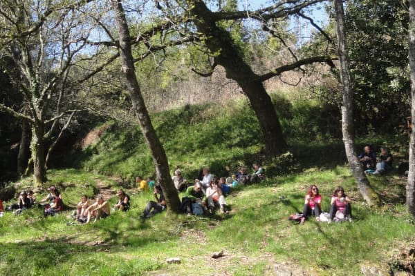 Foto 54 da atividade Galeria de Fotos