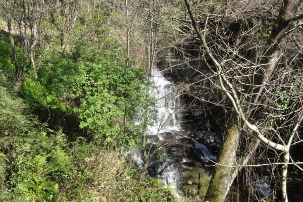 Foto 53 da atividade Galeria de Fotos