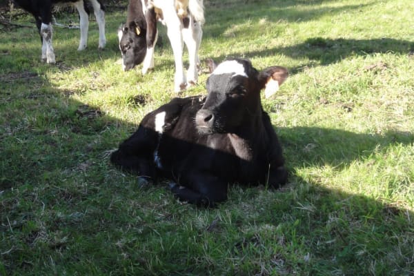 Foto 50 da atividade Galeria de Fotos