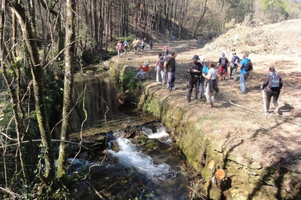 Foto 46 da atividade Galeria de Fotos