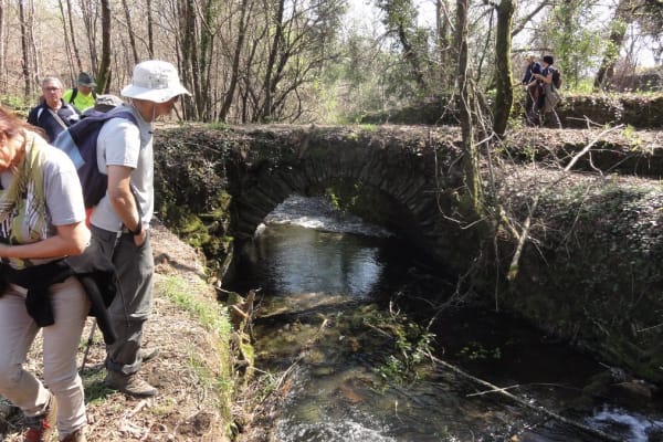 Foto 45 da atividade Galeria de Fotos