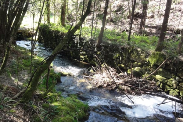 Foto 40 da atividade Galeria de Fotos