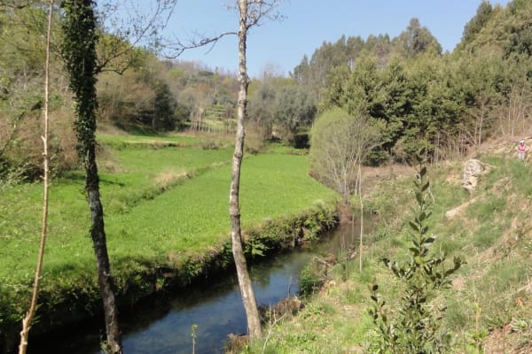 Foto 37 da atividade Galeria de Fotos