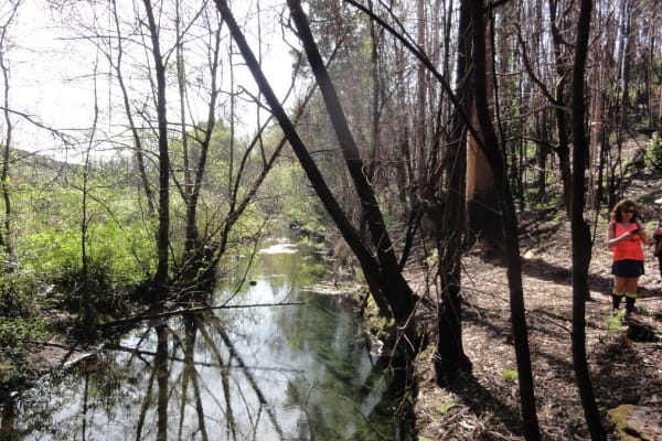 Foto 18 da atividade Galeria de Fotos