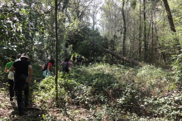 Foto 19 da atividade Galeria de Fotos