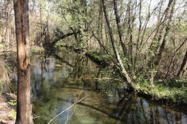 Foto 12 da atividade Galeria de Fotos