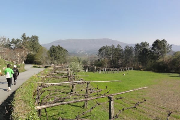 Foto 11 da atividade Galeria de Fotos