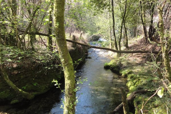 Foto 10 da atividade Galeria de Fotos