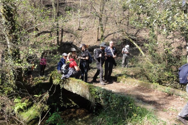 Foto 5 da atividade Galeria de Fotos