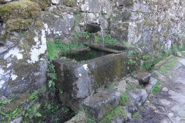 Foto 64 da atividade Galeria de Fotos