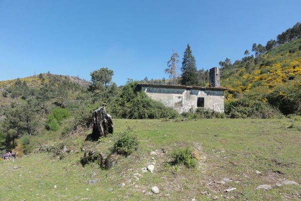 Foto 66 da atividade Galeria de Fotos