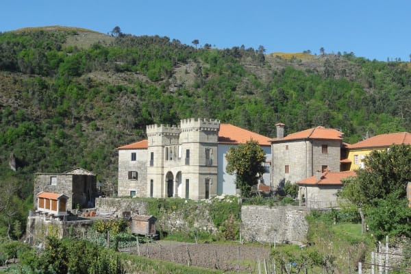 Foto 58 da atividade Galeria de Fotos