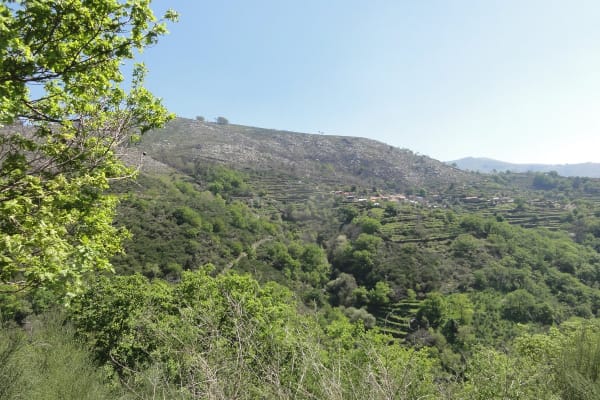 Foto 17 da atividade Galeria de Fotos