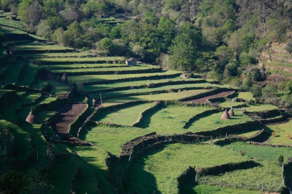 Foto 11 da atividade Galeria de Fotos