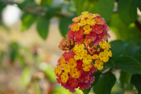 Foto 97 da atividade Galeria de Fotos