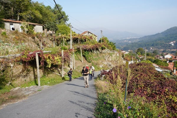 Foto 79 da atividade Galeria de Fotos