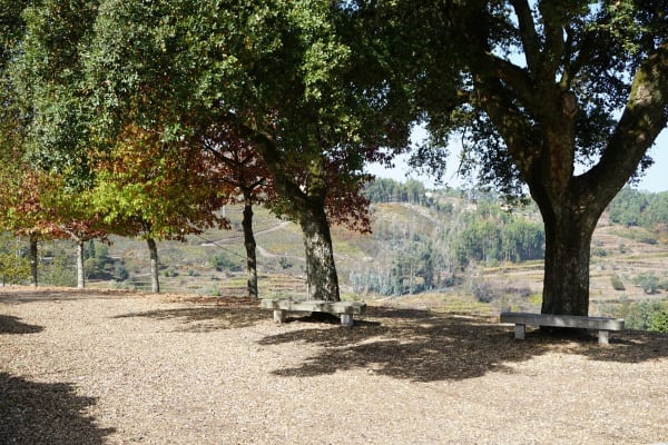 Foto 81 da atividade Galeria de Fotos