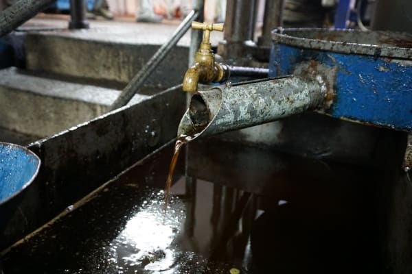 Foto 52 da atividade Galeria de Fotos