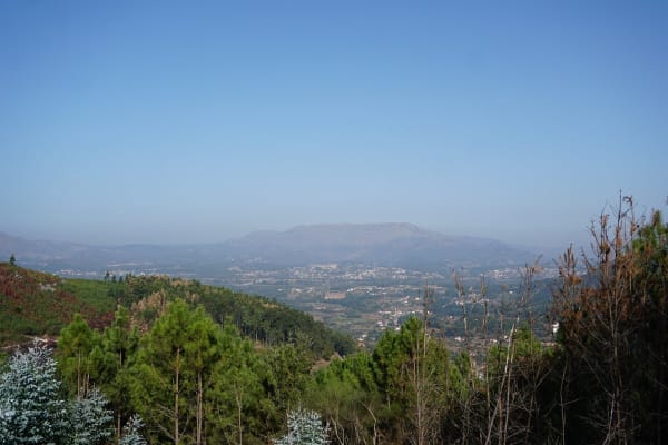 Foto 43 da atividade Galeria de Fotos