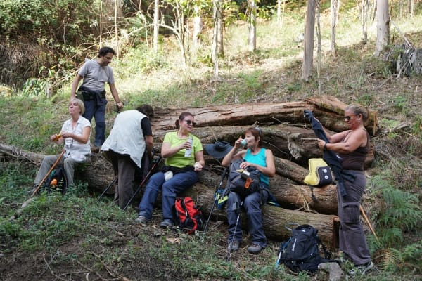 Foto 34 da atividade Galeria de Fotos