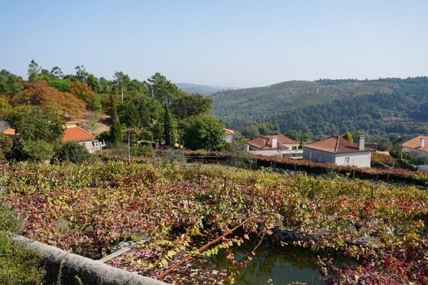 Foto 25 da atividade Galeria de Fotos