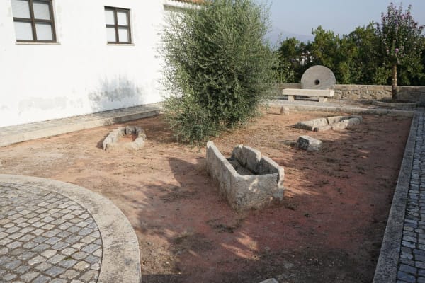 Foto 19 da atividade Galeria de Fotos